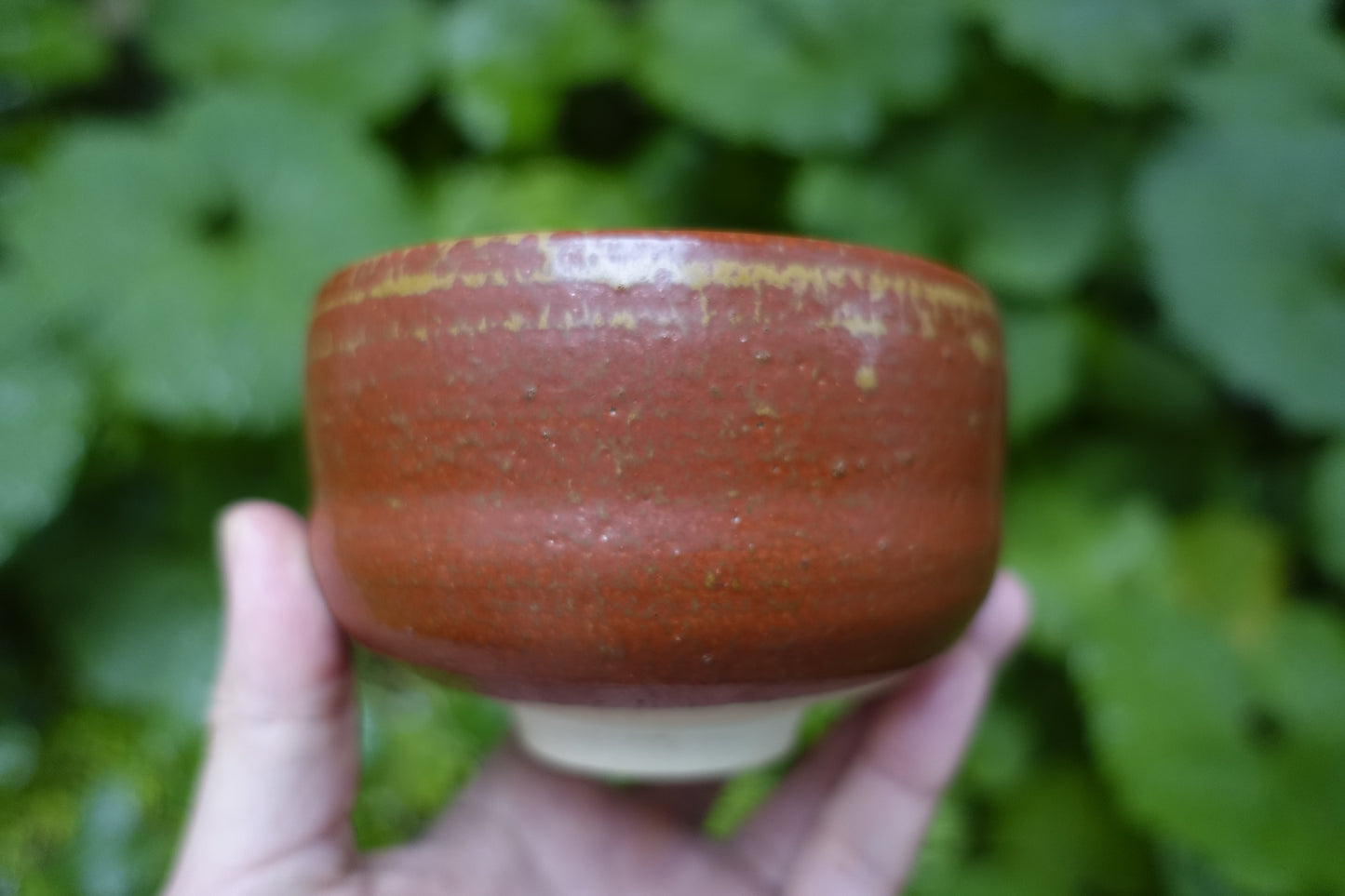0001 Red Glazed Tea Bowl by Ousuke Nakashima at Suehiro Kiln with an original box