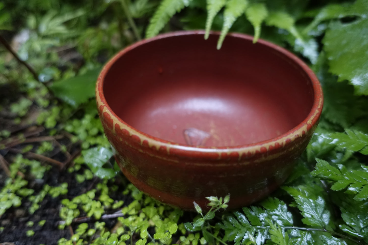 0001 Red Glazed Tea Bowl by Ousuke Nakashima at Suehiro Kiln with an original box