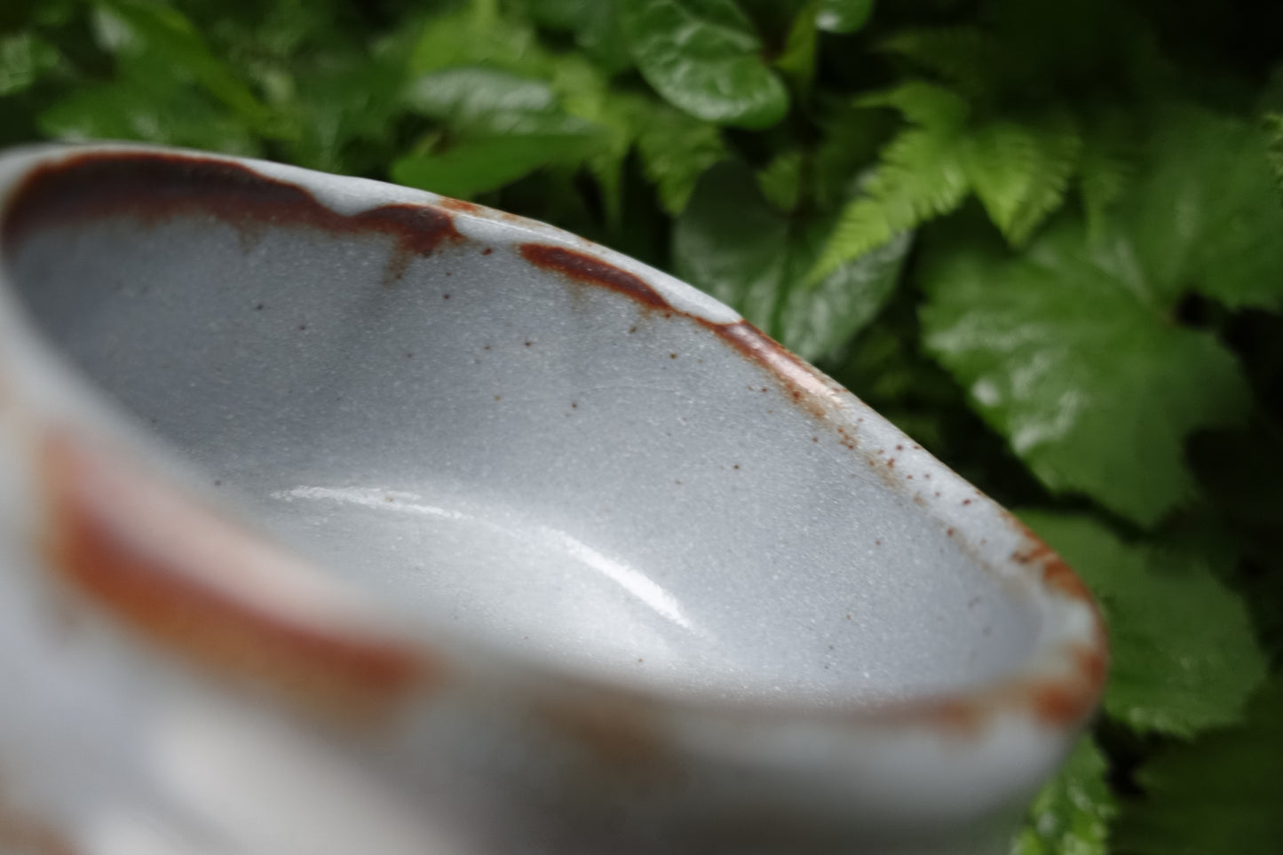 0004 Nezumi Shino Tea Bowl by Touen Shusen at Dounomoto Kiln with an original box