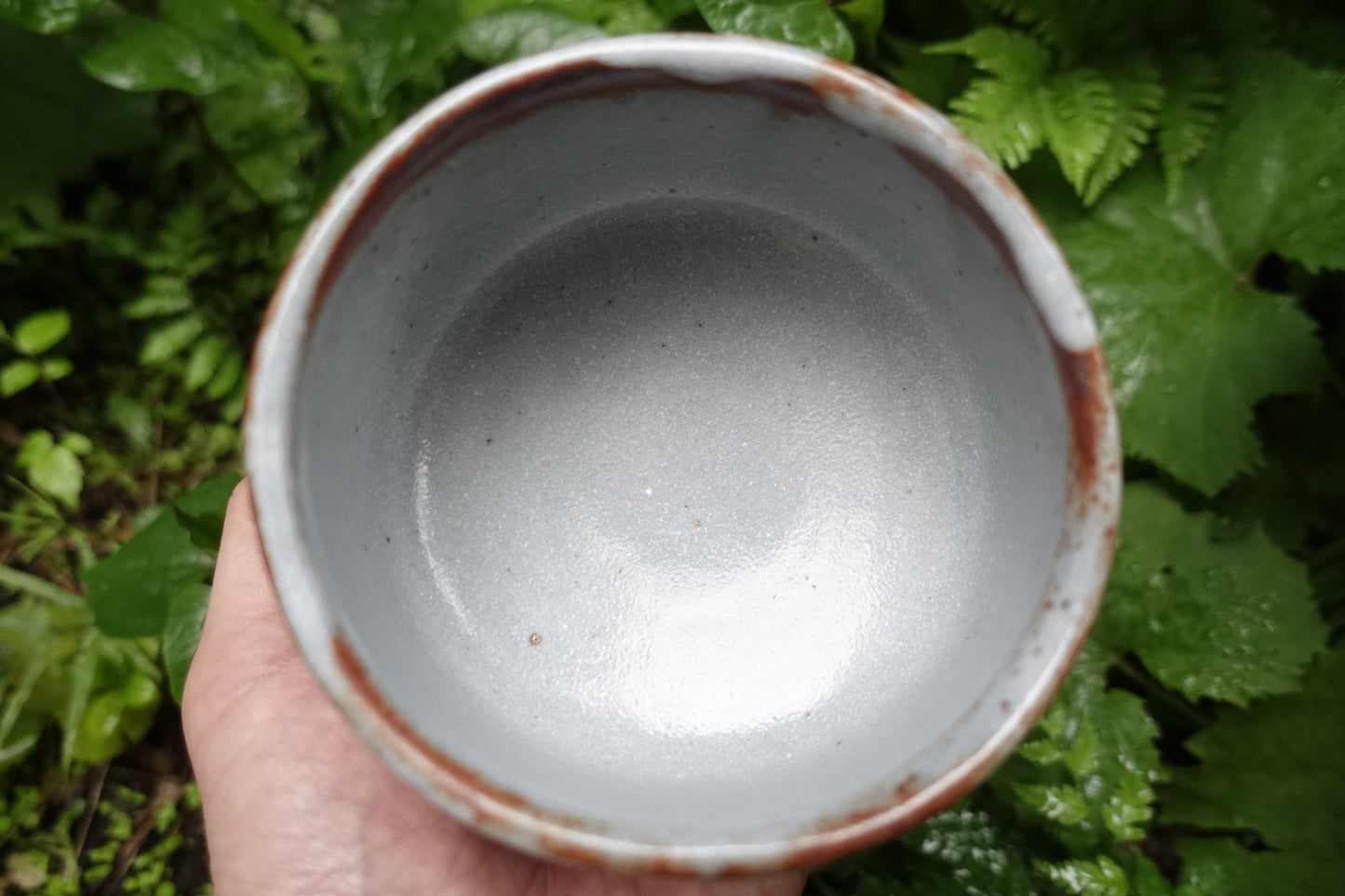 0004 Nezumi Shino Tea Bowl by Touen Shusen at Dounomoto Kiln with an original box