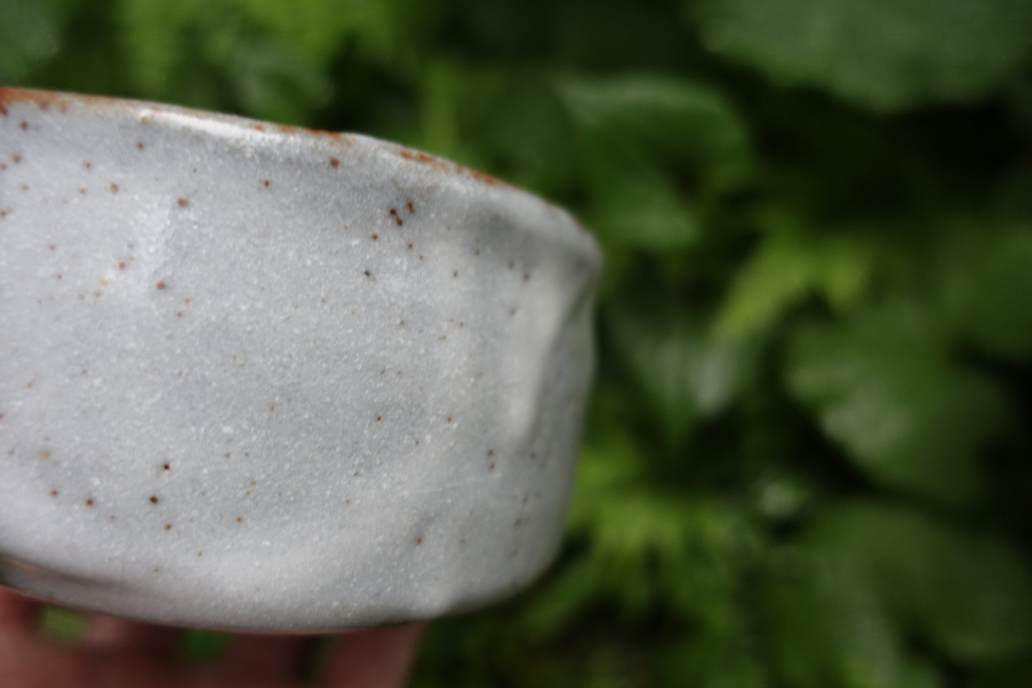 0004 Nezumi Shino Tea Bowl by Touen Shusen at Dounomoto Kiln with an original box