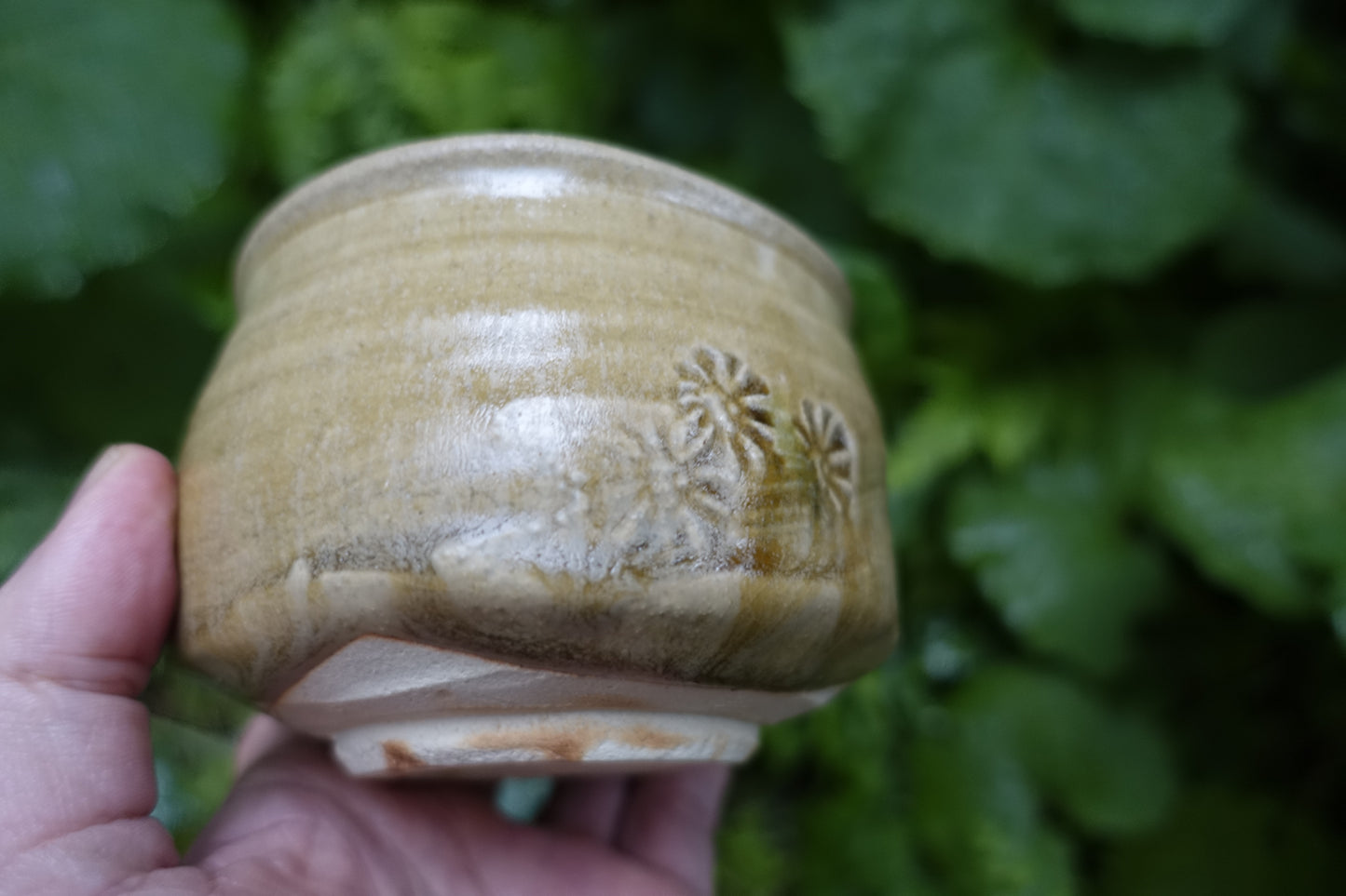 0002 Tea Bowl -Kiseto- made by Sho Kato with an original box