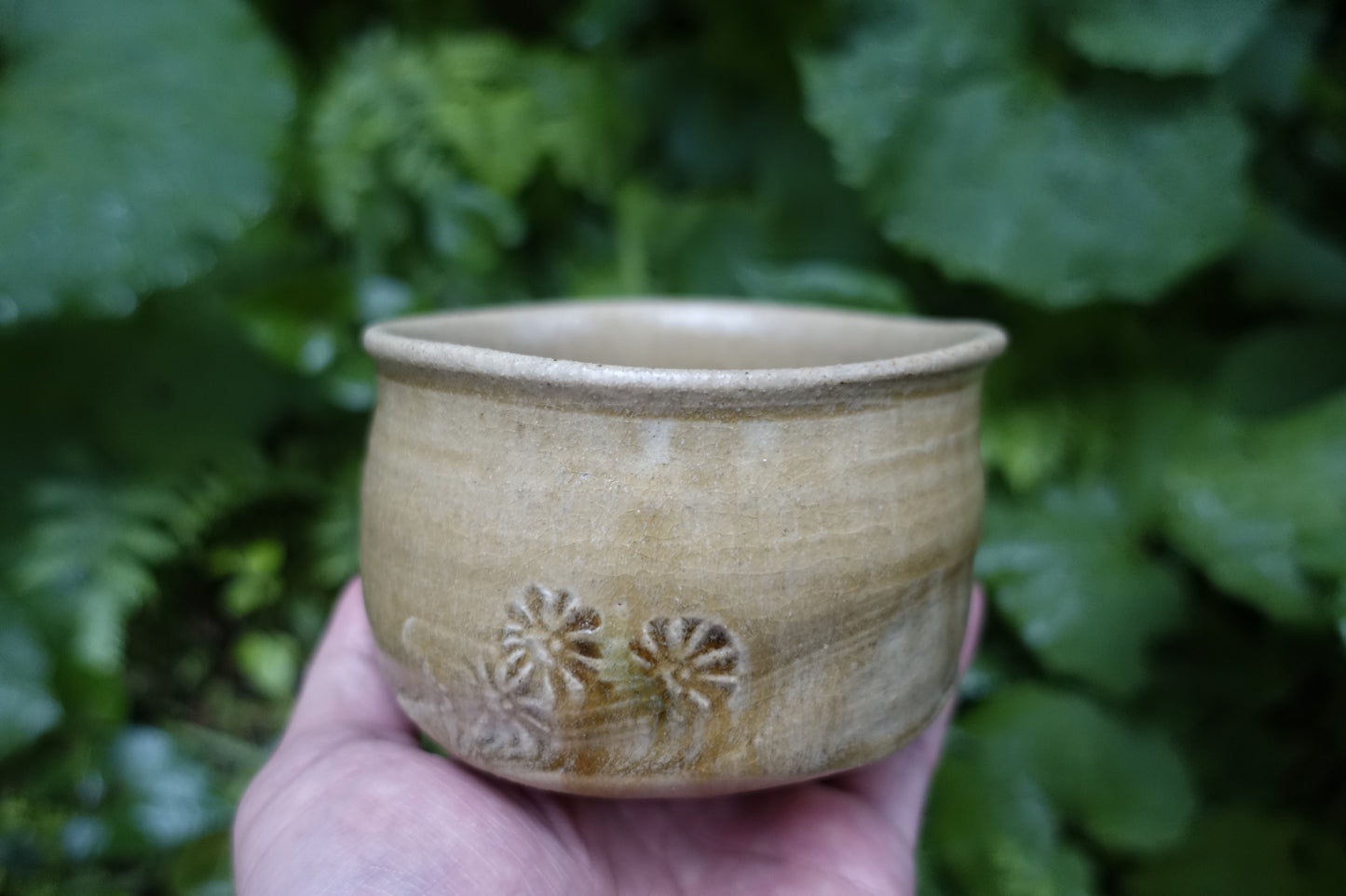 0002 Tea Bowl -Kiseto- made by Sho Kato with an original box