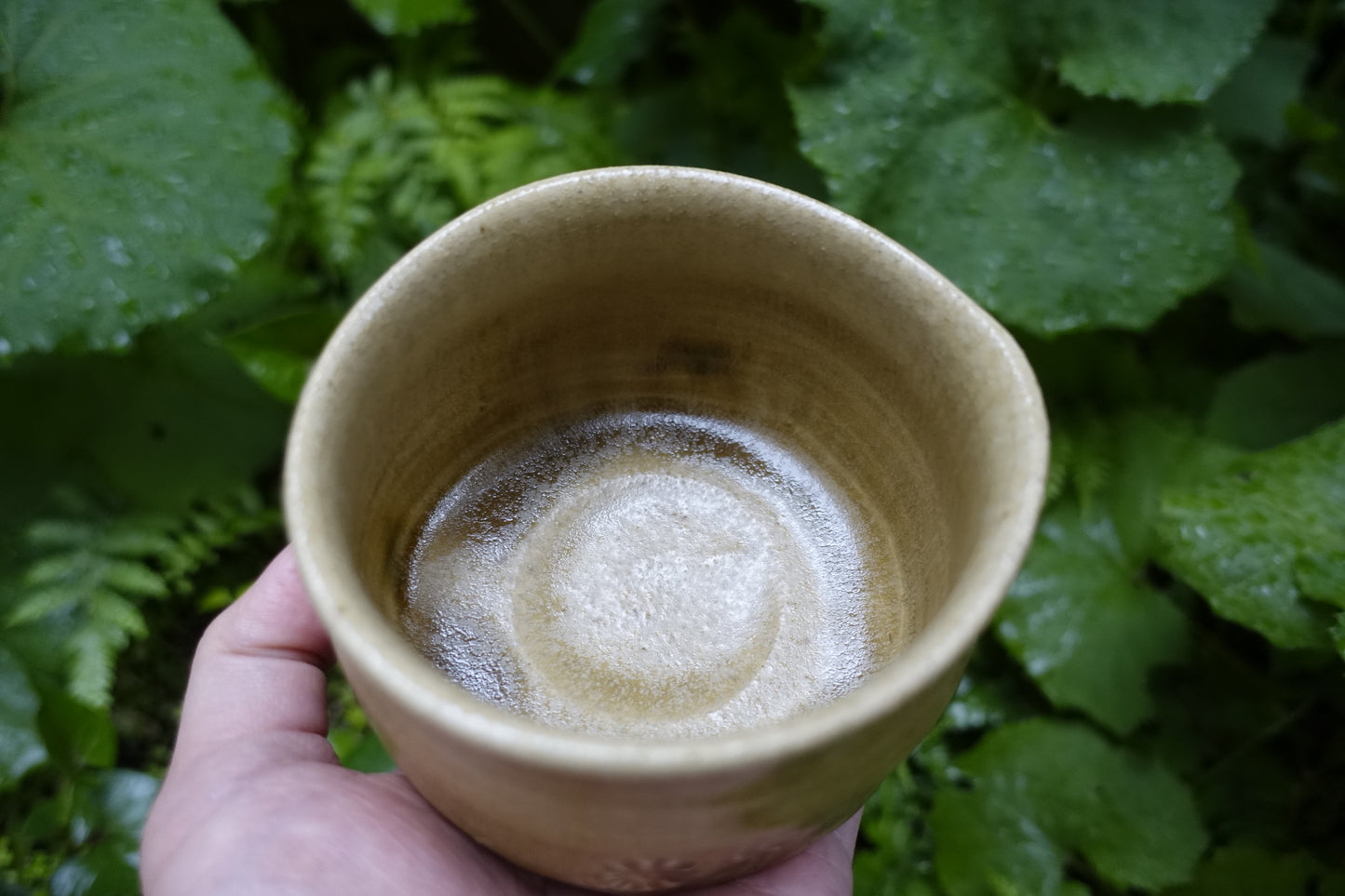 0002 Tea Bowl -Kiseto- made by Sho Kato with an original box