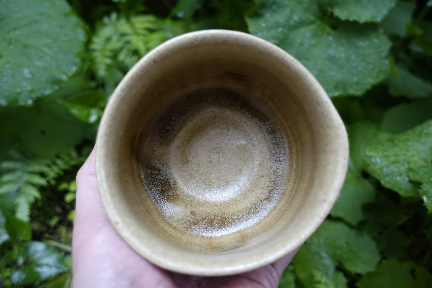 0002 Tea Bowl -Kiseto- made by Sho Kato with an original box