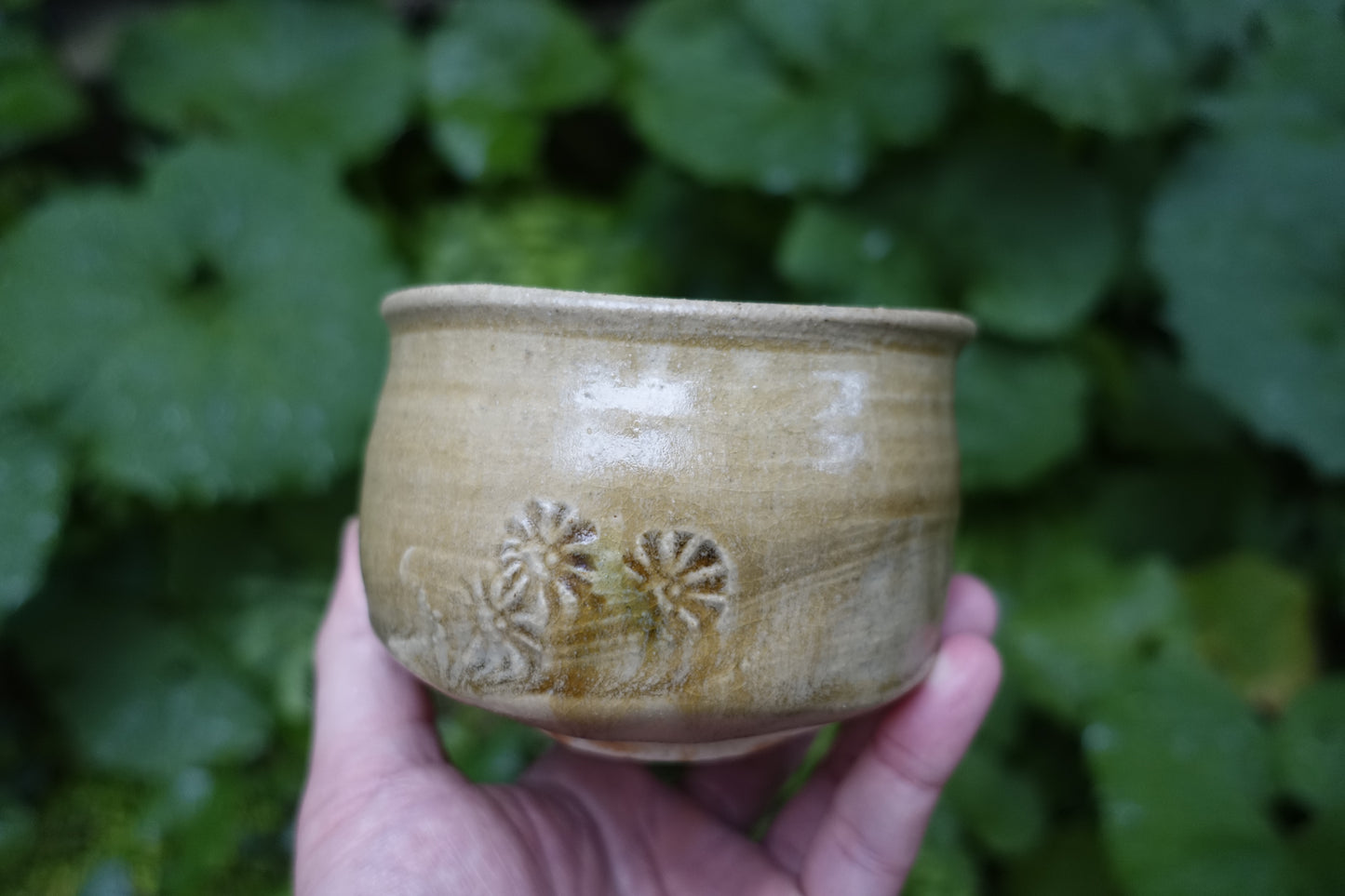 0002 Tea Bowl -Kiseto- made by Sho Kato with an original box