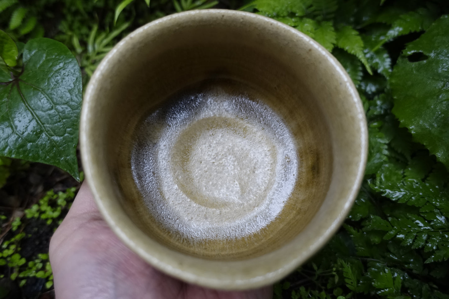 0002 Tea Bowl -Kiseto- made by Sho Kato with an original box