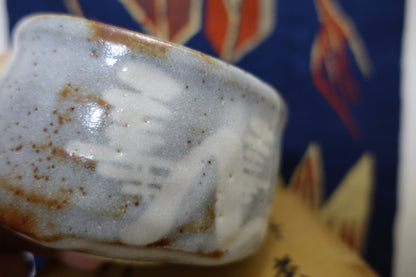 0004 Nezumi Shino Tea Bowl by Touen Shusen at Dounomoto Kiln with an original box